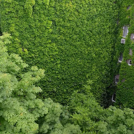 Walk Vaci 42 شقة فندقية